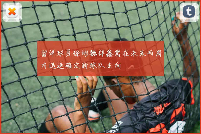 留洋球员徐彬魏祥鑫需在未来两周内迅速确定新球队去向