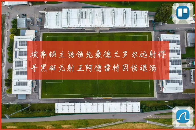 埃弗顿主场领先桑德兰罗尔远射得手黑猫无射正阿德雷特因伤退场